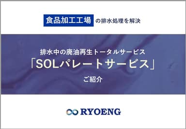 SOLパレートサービス資料